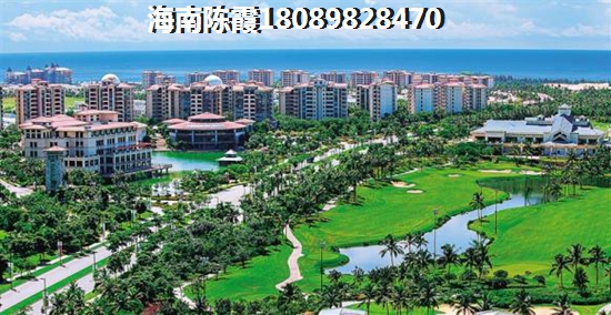 金汇广场能养老吗？