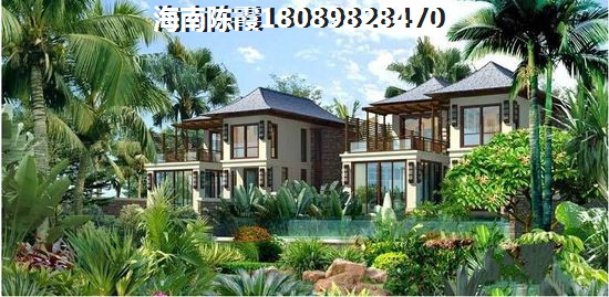 先瞧瞧清云林海的评论~