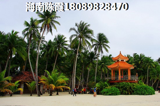 香墅湾庄园活动现场